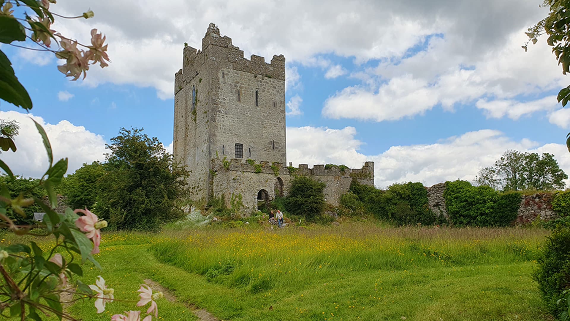 Clonony Castle view 1