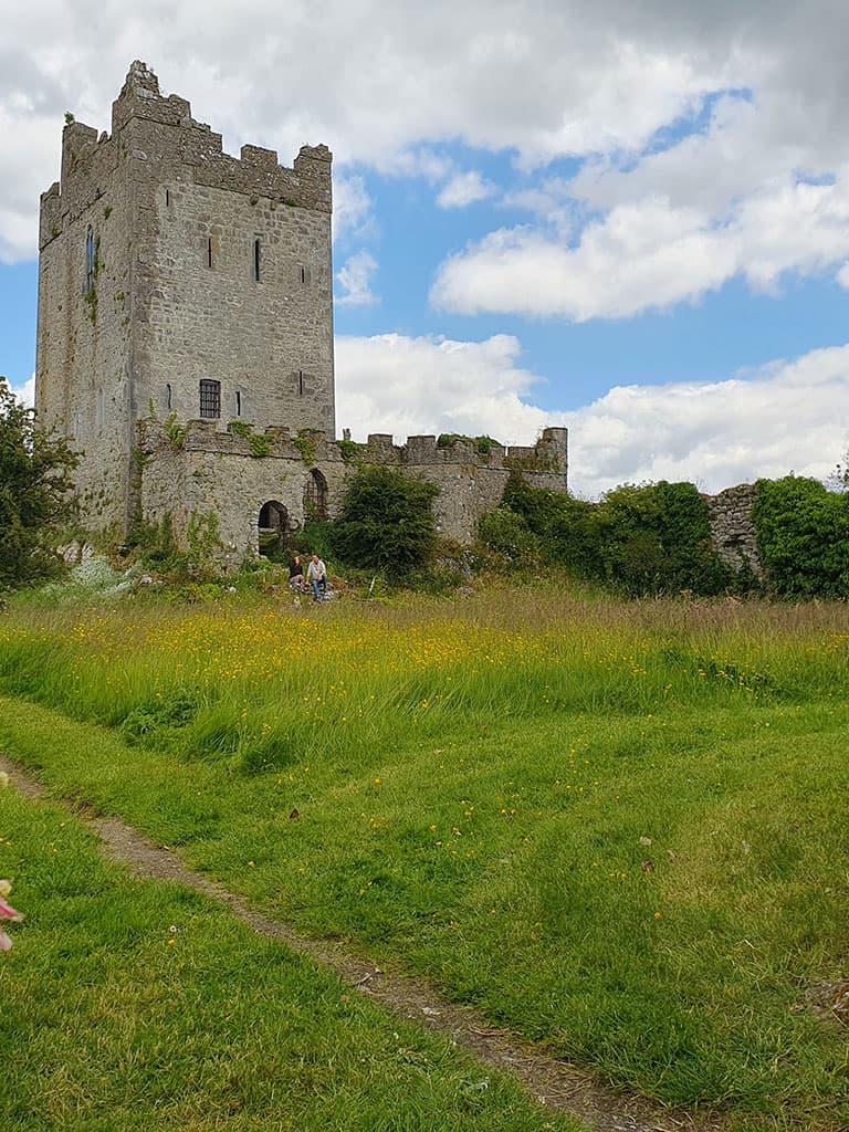 Clonony Castle view 1