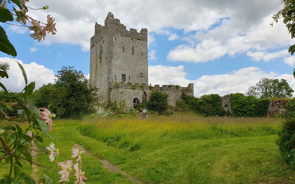Clonony Castle view 1
